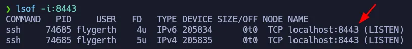 Port 8443 available